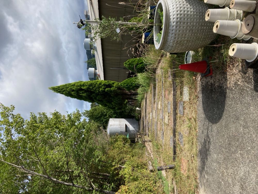 かまーとの森（滋賀）20241028の写真