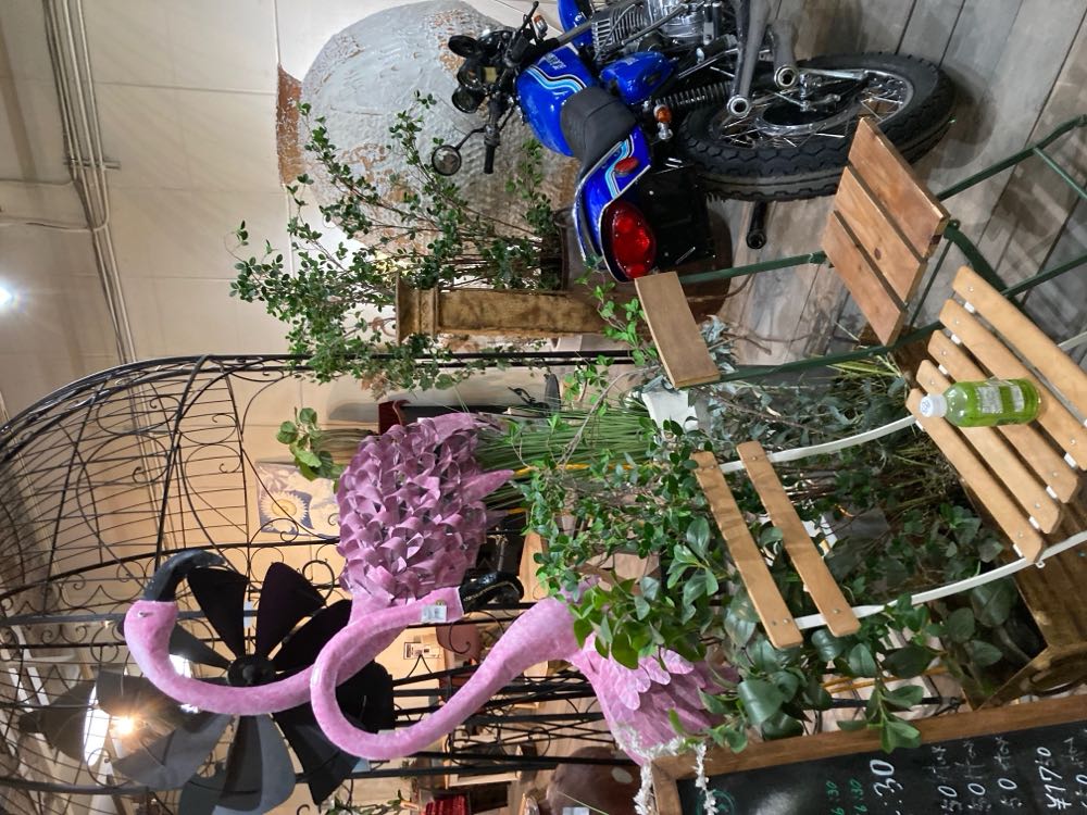 かまーとの森（滋賀）20241028の写真